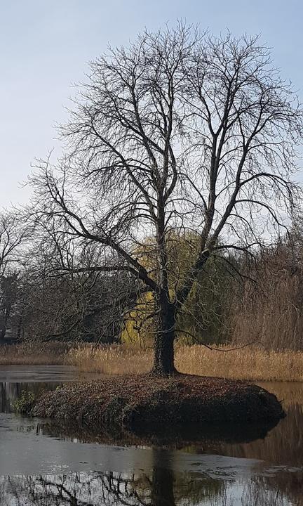 Schloßschänke Zur Remise